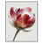 White Floater Frame is unavailable