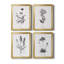 Simply Imperial - Ensemble de 4 photos sur toile tendues-1160655253-1160655255