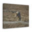 No Frame Print on Canvas-222124567