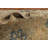 Traditional Wool Area Rug 8x12