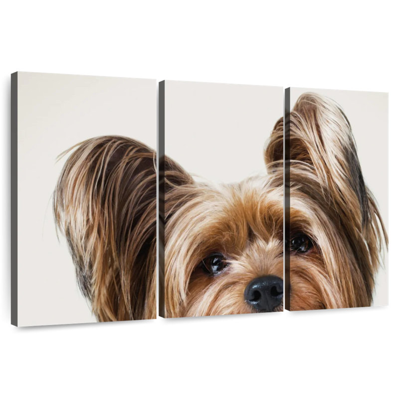 Brampt Jeri, 48" H x 74" W