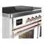 Majestic II 40" Freestanding Induction Range-1505886793