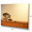 Trees in Large African Landscape - Reproduction de photo sur toile tendue-19408662