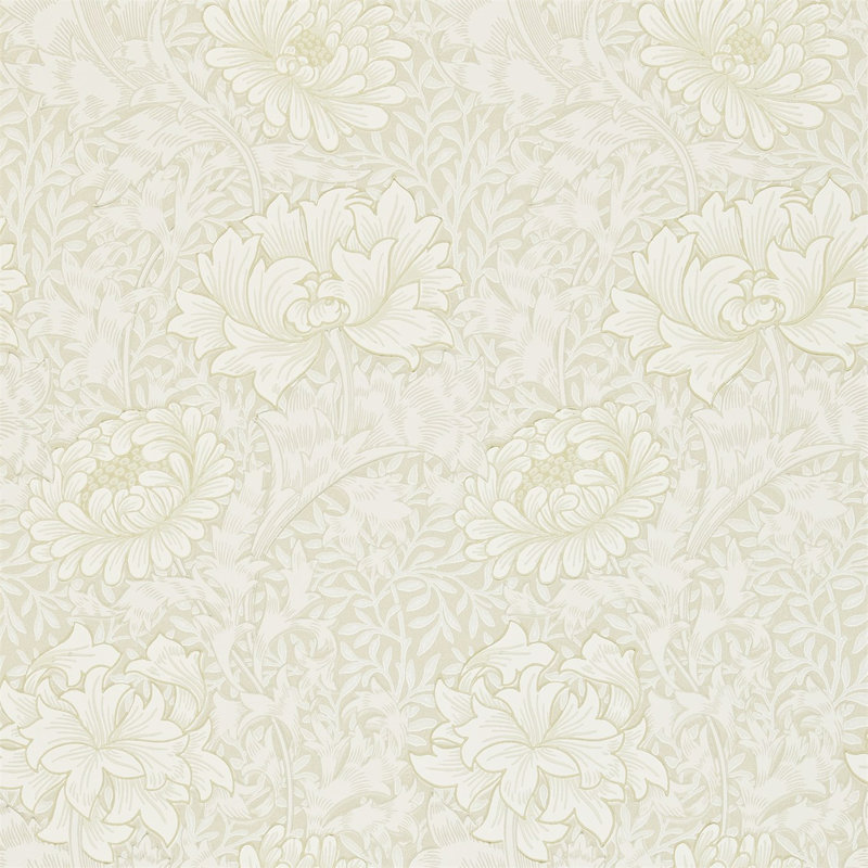 Chrysanthemum Wallpaper, Chalk