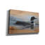 Toile épique Graffiti «Loon Reflection» par Jim Brune, 40 po x 26 po-117052521