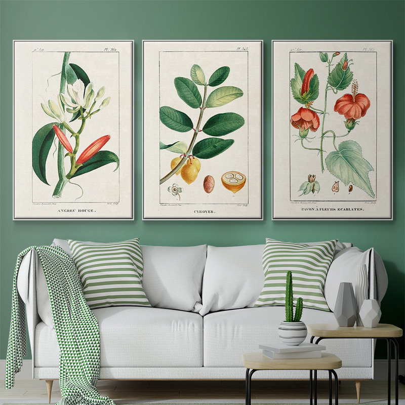 Turpin Tropical Botanicals IV, ensemble de 3 toiles encadrées, Blanc, H 36 po x l 72 po