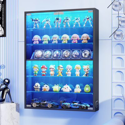 Display Cabinet