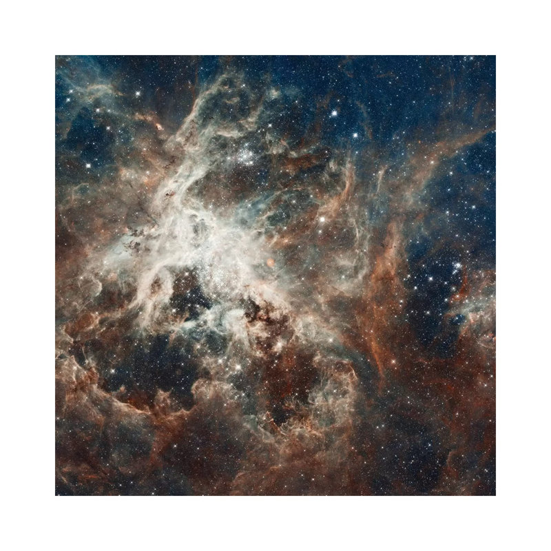 Prolific Star-Forming Region, 30 Doradus (Tarantula Nebula) (Hubble Space Telescope 22nd Anniversary Image) by NASA - Print on Canvas