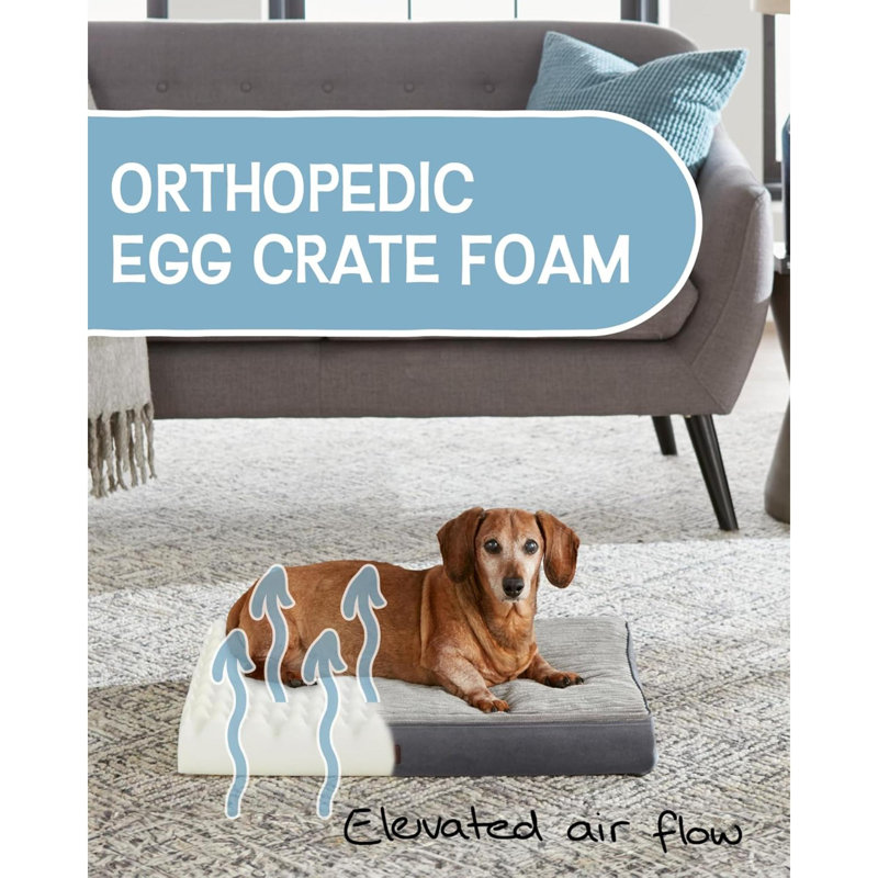Lit pour chien orthopédique imperméable et lavable à la machine de 24 pouces avec support en mousse pour caisse d'œufs, fond antidérapant et housse de lit amovible pour animaux de compagnie de très grand, grand, moyen, petit (gris)