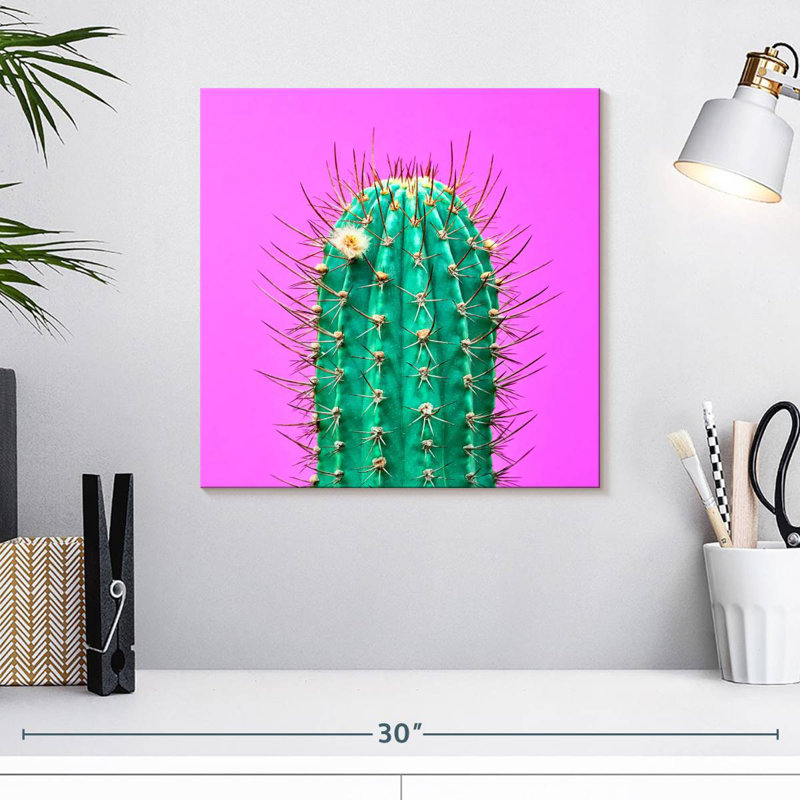 Cactus Harnek, H 16 po x l 16 po