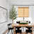 72'' Faux Olive Tree Tree in Pot-1178204451