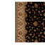 Oriental Area Rug