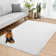 Eilidhmay Washable Indoor Rug