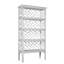 Chippendale Bookcase-14194435