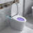 YULIKA 1.28 Gallons GPF Elongated Comfort Height Floor Mounted Bidet Toilet (Seat Included)