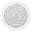 Carat Glass Dinner Plate
