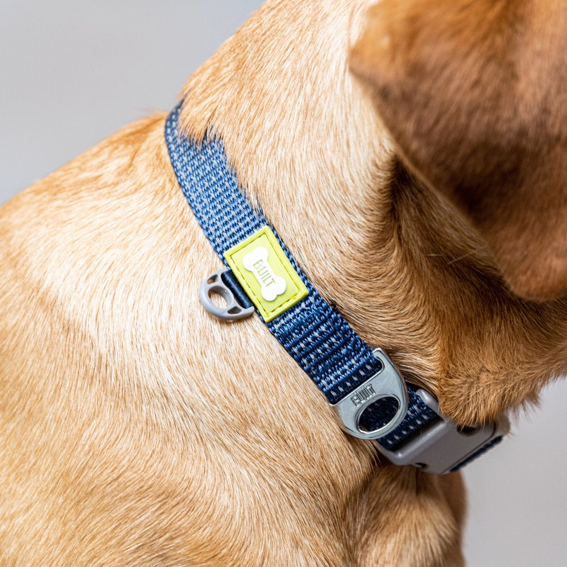 Built Pet Collar
