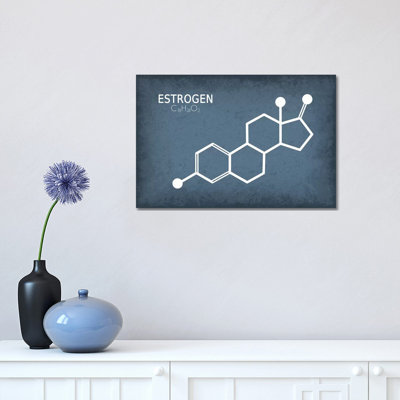 Estrogen Molecule - Wrapped Canvas Print