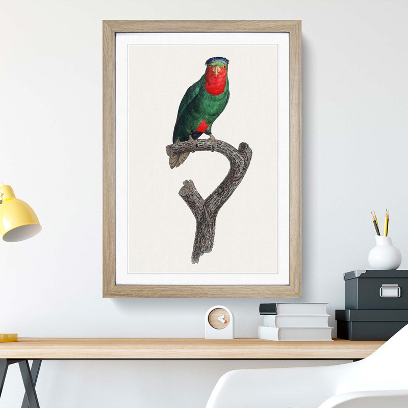 Blue Crowned Lorikeet by F. Levaillant - Picture Frame Graphic Art Print, 36cm H x 27cm W x 2cm D, Oak Framed