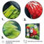 Perroquet tropical au paradis IV sur toile-1097816966-1275611511