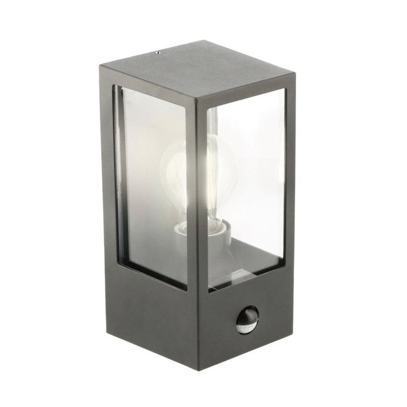 Aadya 22cm H Outdoor Wall Lantern