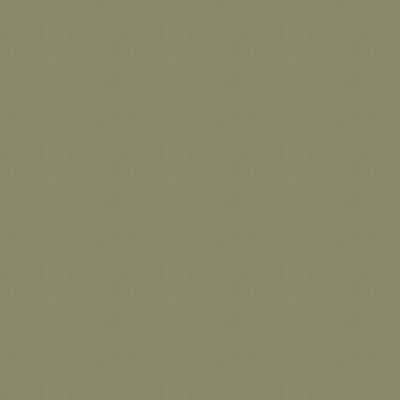 Guaranteed in Stock Fabric