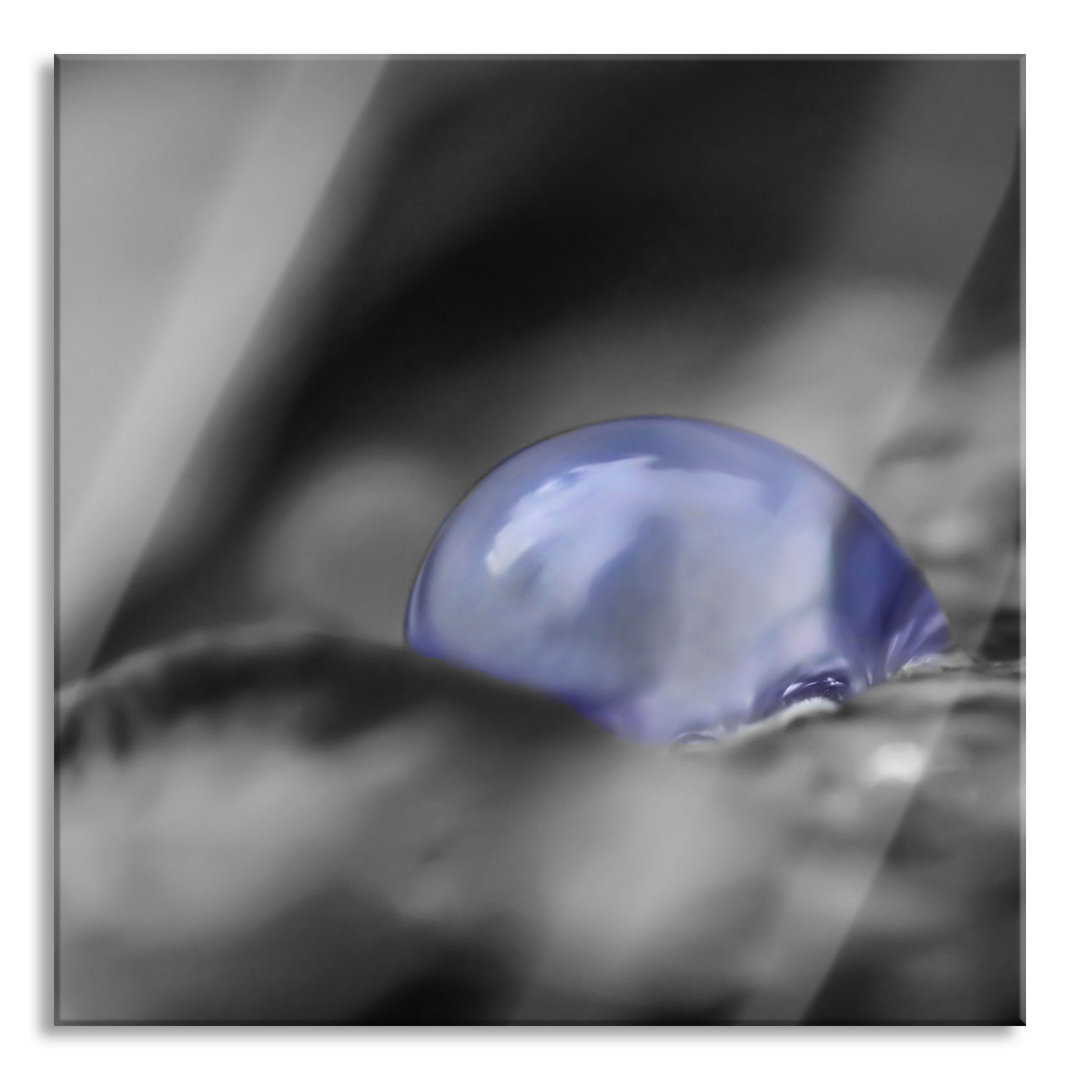 Glasbild Blauer Wassertropfen auf Blatt