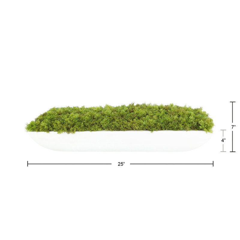 Moss 6" Artificial in Fiberstone Planter, 7"H x 25"W x 9.5"D, White