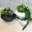Ceramic Planter Ceramic Table Vase-93564554