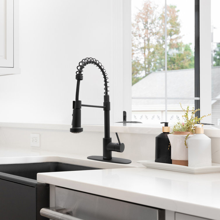 JS Pull Out Kitchen Faucet with Deck Plate 2 Spray Modes
