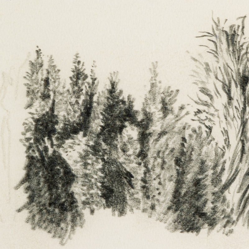 Tree Sketch Painting by Dan Hobday, 30" H x 40" W