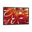 « redony », impression sur toile-29483487-73651798-73651799
