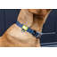 Built Pet Collar