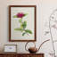«Pretty Pink Botanicals II», reproduction d'art sur toile-1220564975-1220564944