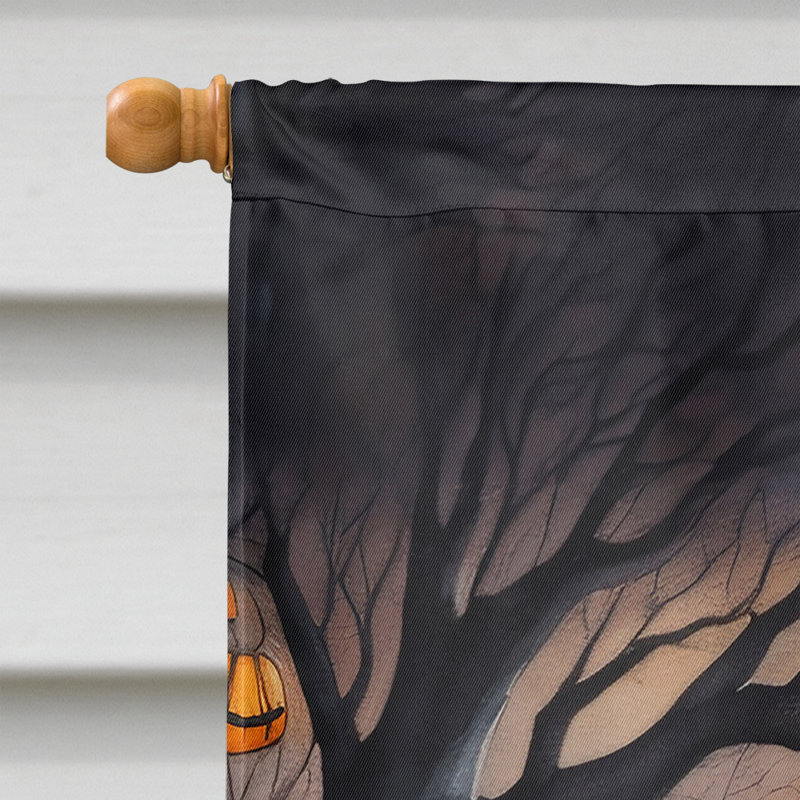 Drapeau Papillon Spooky Halloween House