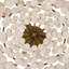 Bilal 3 - Light Flush Mount