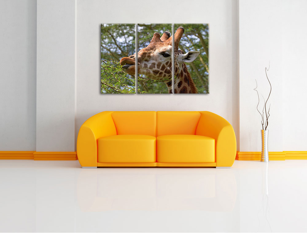 3-tlg. Leinwandbilder-Set „Niedliche Giraffe beim Fressen“, Fotodruck