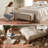 47'' Modern Upholstered Storage Bench With Walnut Wood Legs-1948181148