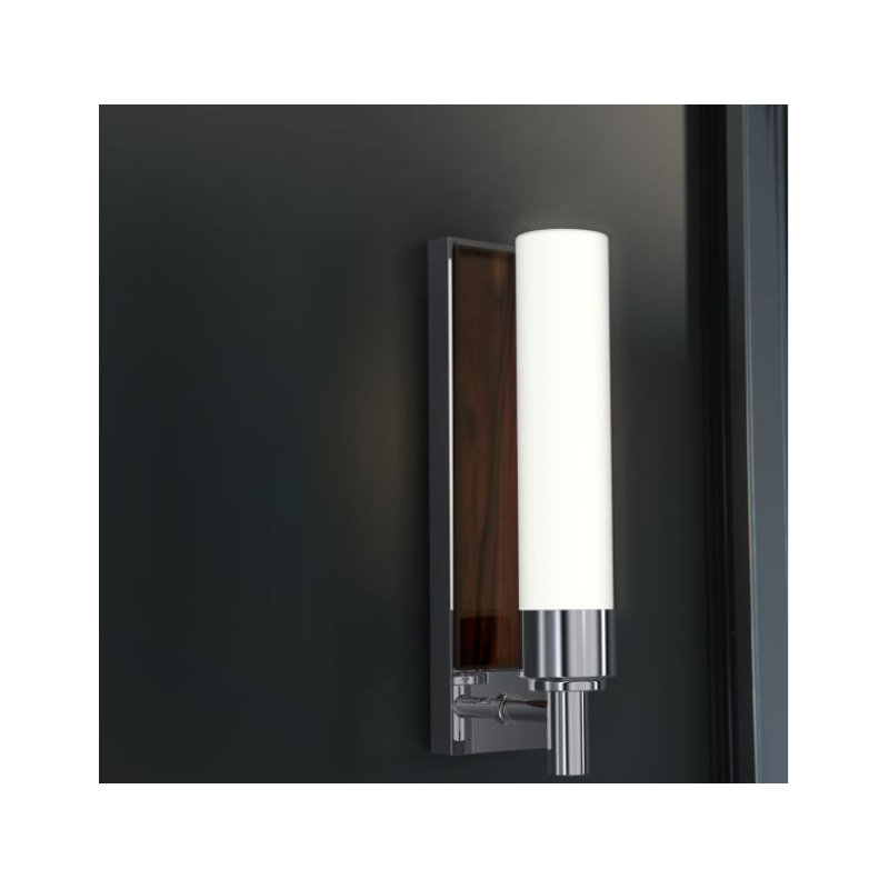 1-Light Plug-In Armed Sconce
