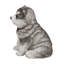 STATUE CHIOT MALAMUTE