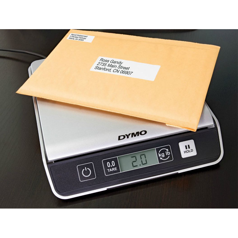 Pelouze Manufacturing Company Scale