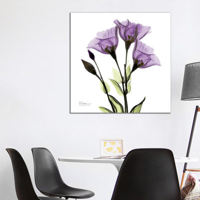 Gentian Believe by Albert Koetsier - Wrapped Canvas Print