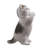 Cat Kitten Statue Praying-Gray-116323234
