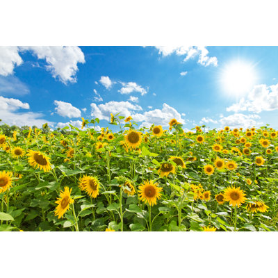 Sunflowers In Summer by Fotojog - Wrapped Canvas Print