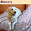 Couverture pour animal