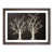 Walnut Framed