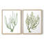 Coral Souvenirs II - reproduction encadrée de qualité supérieure - prête à être accrochée - aucun clou requis - aucun clou requis-1412486291-1412486290