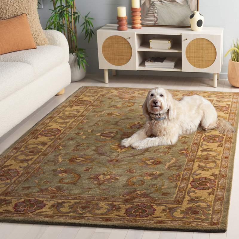 Taylor Hand Tufted Wool Oriental Rug, Rectangle 3' x 5'