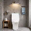 Toilette allongée une pièce à double chasse 1,1 / 1,6 GPF avec 16,34 po | Siphon Jet-124567331