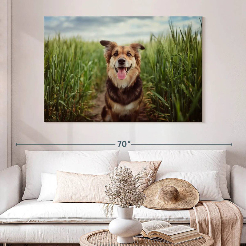 Brampt Dog In The Cornfield, 34" H x 51" W